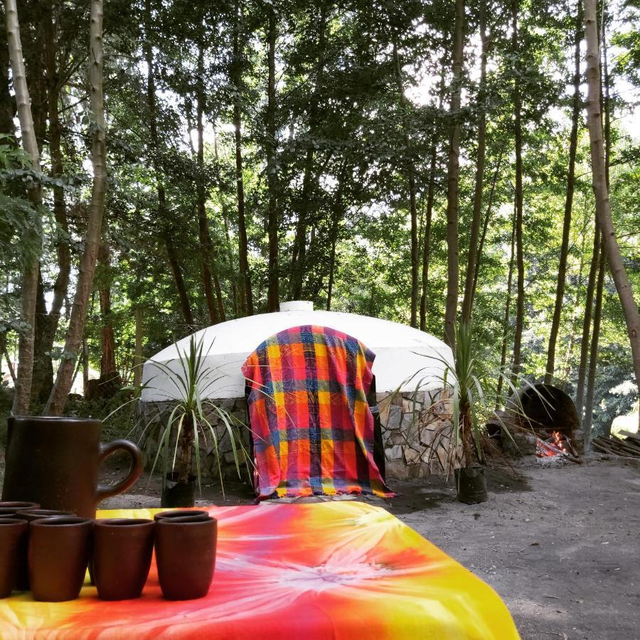 Cabanas Rucalhue Salto Del Laja Cabrero Eksteriør bilde